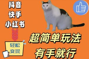 超简单玩法，有手就行，靠猫咪视频日入500+【揭秘】-优品网赚资源库