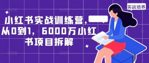 小红书实战训练营，从0到1，6000万小红书项目拆解-优品网赚资源库