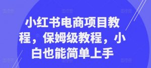 小红书电商项目教程，保姆级教程，小白也能简单上手-优品网赚资源库