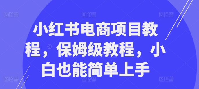 小红书电商项目教程,保姆级教程,小白也能简单上手-优品网赚资源库
