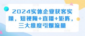 2024实体企业获客实操,短视频+直播+矩阵,三大维度引爆流量-优品网赚资源库