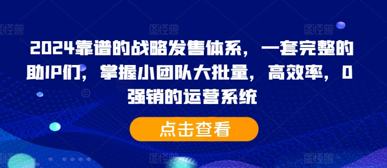 2024靠谱的战略发售体系，一套完整的助IP们，掌握小团队大批量，高效率，0 强销的运营系统-优品网赚资源库