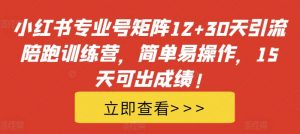 小红书专业号矩阵12+30天引流陪跑训练营，简单易操作，15天可出成绩!-优品网赚资源库