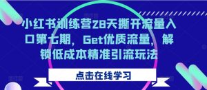 小红书训练营28天撕开流量入口第七期，Get优质流量，解锁低成本精准引流玩法-优品网赚资源库