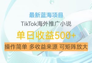 最新蓝海项目,利用tiktok海外推广小说赚钱佣金,简单易学,日入500+,可矩阵放大【揭秘】-优品网赚资源库