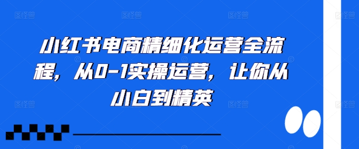 小红书电商精细化运营全流程，从0-1实操运营，让你从小白到精英-优品网赚资源库