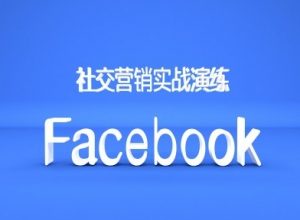 Facebook社交营销实战演练,外贸人绝对不能错过的营销推广平台-优品网赚资源库