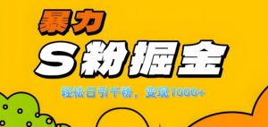 单人单机日引千粉，变现1k+，S粉流量掘金计划攻略【揭秘】-优品网赚资源库