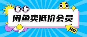 外面收费998的闲鱼低价充值会员搬砖玩法号称日入200+-优品网赚资源库