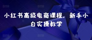 小红书高级电商课程，新手小白实操教学-优品网赚资源库