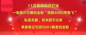小红书11月最新图片打粉，一张图片引爆创业粉，“预算4980带我飞”，单条引流500+精准创业粉-优品网赚资源库