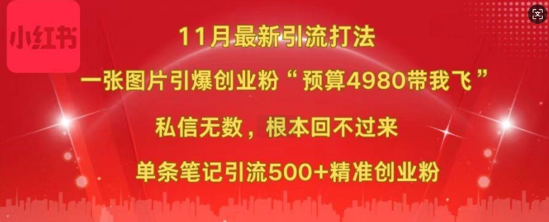 小红书11月最新图片打粉，一张图片引爆创业粉，“预算4980带我飞”，单条引流500+精准创业粉-优品网赚资源库