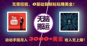 无需经验，0基础复制粘贴赚美刀，动动手指，月入3000+刀，无上限【揭秘】-优品网赚资源库