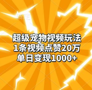 超级宠物视频玩法,1条视频点赞20万,单日变现1k-优品网赚资源库