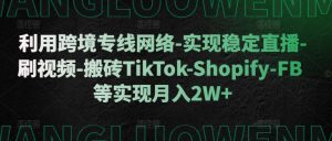 利用跨境专线网络-实现稳定直播-刷视频-搬砖TikTok-Shopify-FB等实现月入2W+【揭秘】-优品网赚资源库