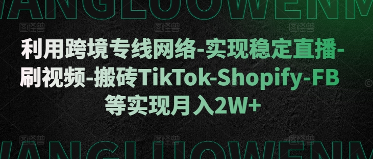 利用跨境专线网络-实现稳定直播-刷视频-搬砖TikTok-Shopify-FB等实现月入2W+【揭秘】-优品网赚资源库