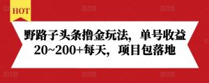 野路子头条撸金玩法,单号收益20~200+每天,项目包落地-优品网赚资源库