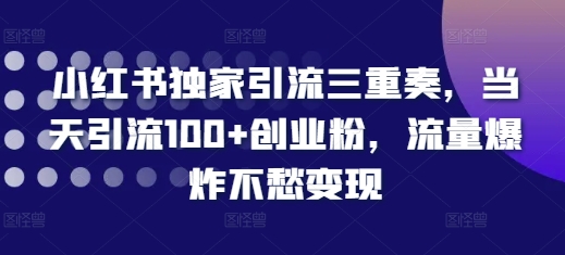小红书独家引流三重奏,当天引流100+创业粉,流量爆炸不愁变现【揭秘】-优品网赚资源库