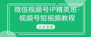 微信视频号IP精英班-视频号短视频教程-优品网赚资源库