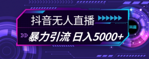 抖音快手视频号全平台通用无人直播引流法，利用图片模板和语音话术，暴力日引流100+创业粉【揭秘】-优品网赚资源库