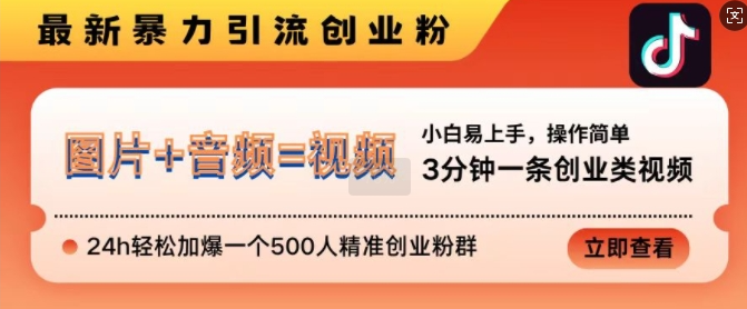 抖音最新暴力引流创业粉,3分钟一条创业类视频,24h轻松加爆一个500人精准创业粉群【揭秘】-优品网赚资源库