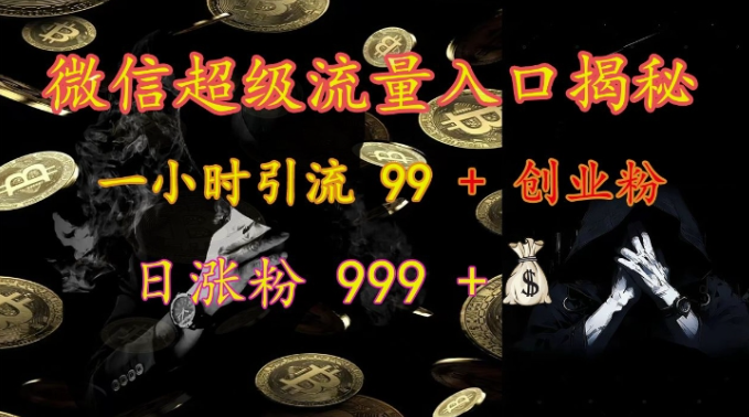 微信超级流量入口揭秘:一小时引流 99 + 创业粉,日涨粉 999 +-优品网赚资源库