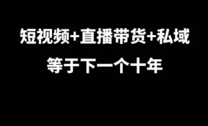 短视频+直播带货+私域等于下一个十年，大佬7年实战经验总结-优品网赚资源库