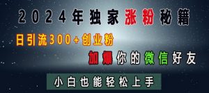 2024年独家涨粉秘籍,日引流300+创业粉,加爆你的微信好友,小白也能轻松上手-优品网赚资源库
