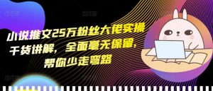 小说推文25万粉丝大佬实操干货讲解,全面毫无保留,帮你少走弯路-优品网赚资源库