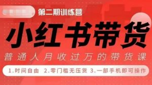 小Red书带货42天训练营 2.0版,宝妈+自由职+上班族+大学生,提高副业收入的大红利项目-优品网赚资源库