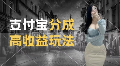 支付宝分成计划新玩法，利用交通事故视频，赚收益，轻松月入过W，操作简单【揭秘】-优品网赚资源库