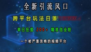全新引流风口，跨平台玩法日入上k，单日狂揽200+精准创业粉，一个被严重忽略的视频平台-优品网赚资源库