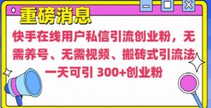 快手最新引流创业粉方法,无需养号、无需视频、搬砖式引流法【揭秘】-优品网赚资源库