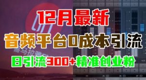 12月最新:音频平台0成本引流,日引流300+精准创业粉-优品网赚资源库