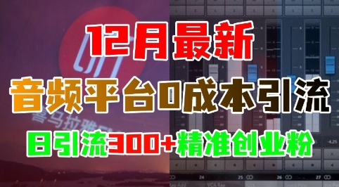 12月最新:音频平台0成本引流,日引流300+精准创业粉-优品网赚资源库