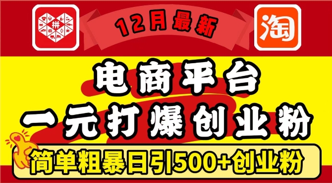 12月最新:电商平台1元打爆创业粉,简单粗暴日引500+精准创业粉,轻松月入过W【揭秘】-优品网赚资源库