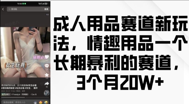 成人用品赛道新玩法，情趣用品一个长期暴利的赛道，3个月收益20个【揭秘】-优品网赚资源库