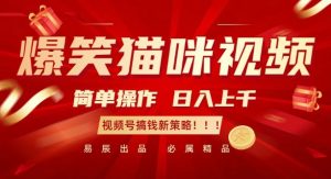 爆笑猫咪视频：简单操作，日入过K，视频号搞钱新策略【揭秘】-优品网赚资源库