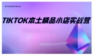 TikTok本土精品小店出海实战营,从入门到高阶,不止0-1!-优品网赚资源库