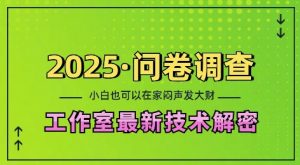 2025问卷调查最新工作室技术解密：一个人在家也可以闷声发大财，小白一天2张，可矩阵放大【揭秘】-优品网赚资源库