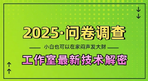 2025问卷调查最新工作室技术解密：一个人在家也可以闷声发大财，小白一天2张，可矩阵放大【揭秘】-优品网赚资源库