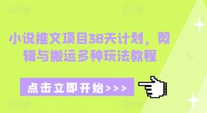 小说推文项目38天计划,剪辑与搬运多种玩法教程-优品网赚资源库