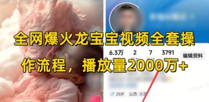 全网爆火龙宝宝视频全套操作流程,播放量2000万+-优品网赚资源库