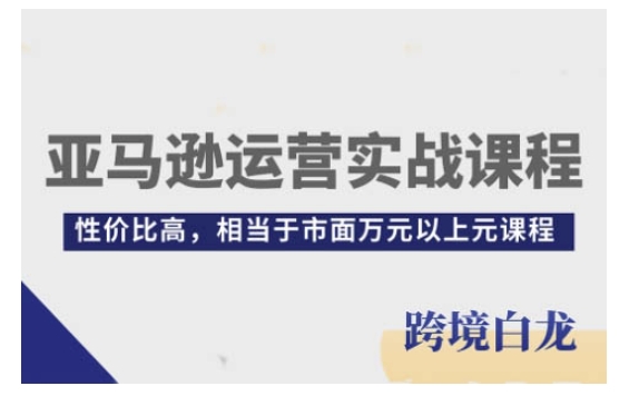亚马逊运营实战课程,亚马逊从入门到精通,性价比高,相当于市面万元以上元课程-优品网赚资源库