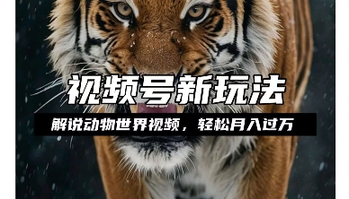 利用动物世界解说视频,赚分成计划收益,轻松月入过W,操作简单【揭秘】-优品网赚资源库