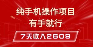 纯手机操作的小项目，有手就能做，7天收入2609+实操教程【揭秘】-优品网赚资源库