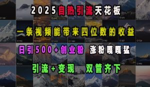 2025自热引流天花板，一条视频能带来四位数的收益，引流+变现双管齐下，日引500+创业粉，涨粉嘎嘎猛-优品网赚资源库