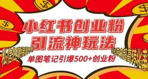 小红书创业粉引流神玩法，单图笔记引爆500+精准创业粉丝，私信狂潮接连不断-优品网赚资源库