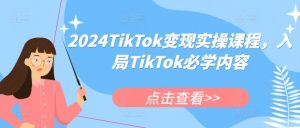 2024TikTok变现实操课程，入局TikTok必学内容-优品网赚资源库