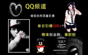 QQ频道：被低估的流量巨兽，单日引爆500+精准创业粉、兼职粉的引流秘籍-优品网赚资源库